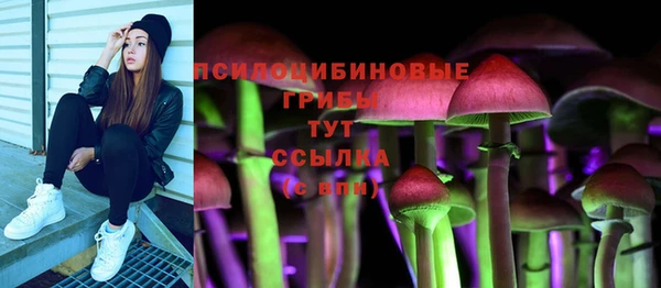 гидропоника Горнозаводск