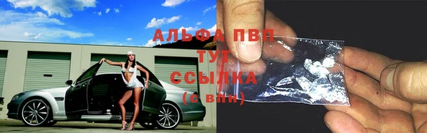 твердый Горняк