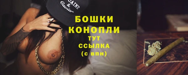 гидропоника Горнозаводск