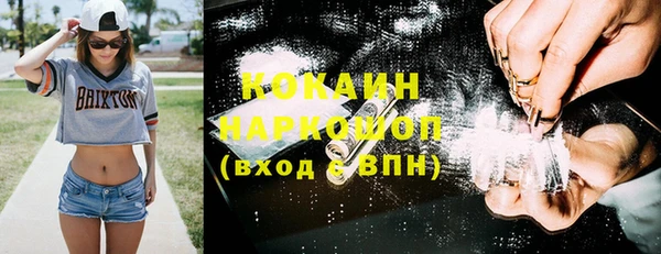 твердый Горняк