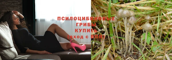 гидропоника Горнозаводск