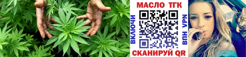 ТГК концентрат  Купить  Короча 